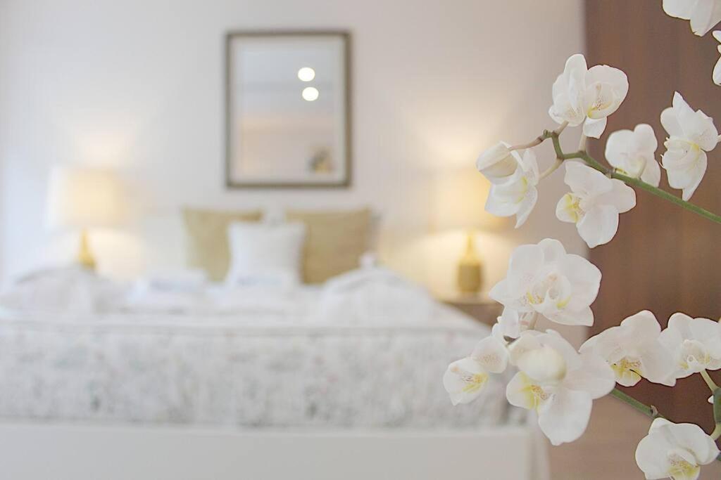 Apartment Oliveiras Charming Downtown
